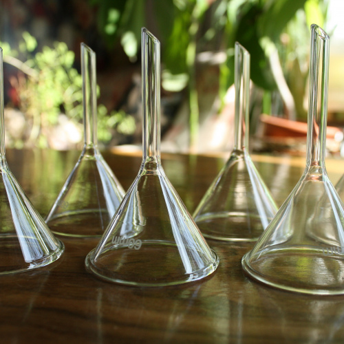 Glastrichter, 60 mm (6er Pack)